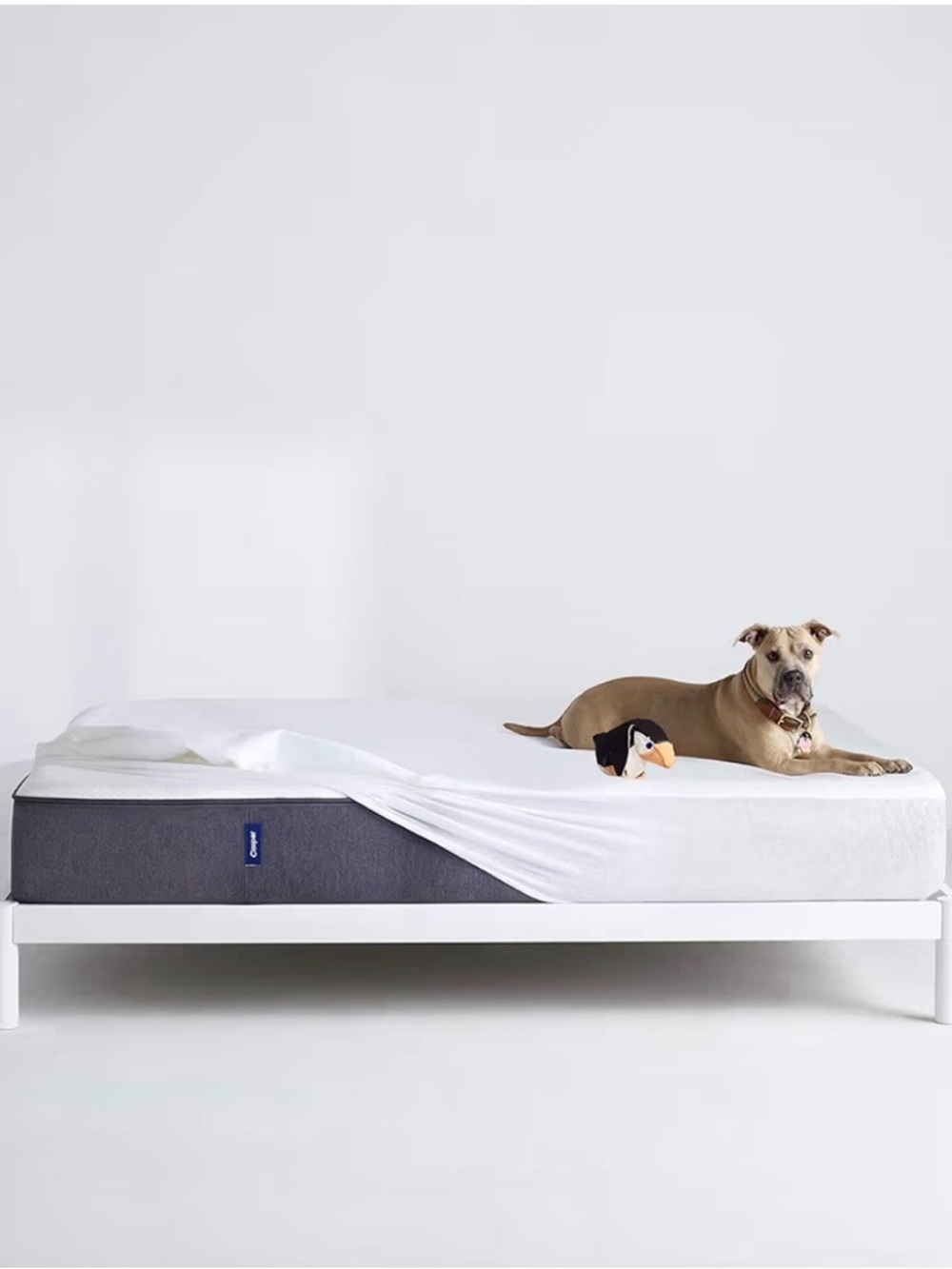 NEW Casper Sleep Waterproof Mattress Protector – King 🤍🛏️